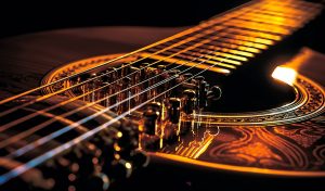 Lee más sobre el artículo Experience the New «Music» Template with the OceanWP Theme